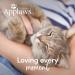 Applaws Kitten Dry Food with Chicken - Grain-Free Complete Nutrition for Cats 1-14 Months (2kg Pack) - Buy Online on GoSupps.com