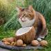 Trade Teamwork Zeckerli Drops for Cats - 78g & 180g | Premium Cat Treats for International Shipping - Buy Online on GoSupps.com