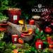 Voluspa Goji Tarocco Orange Candle Jar - 18 oz 100 Hour Burn All Natural Coconut Wax Vegan Made in USA - International Shipping Available - Buy Online on GoSupps.com