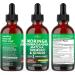 Moringa Supplement Drops - Ashwagandha, Spirulina, Chlorella, Turmeric & Ginger Liquid Barley Grass with Chlorophyll, Matcha, Algae, Vitamin C Antioxidant, Holy Basil, Ceylon Cinnamon - 4fl Oz 2 Fl Oz (Pack of 2) - Buy Online on GoSupps.com