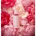 Kenneth Cole Blush Eau De Parfum 1 Fl Oz (Pack of 1) - Buy Online on GoSupps.com