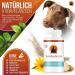 Vitalpfot Synbioflora: Probiotic for Dogs & Cats - Sugar-Free 75g for Intestinal Health - Buy Online on GoSupps.com