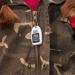 Sun Company Digital Zipogage - Compact Zipperpull Digital Thermometer for Outdoor Activities - Buy Online on GoSupps.com