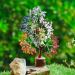 Chakra Tree of Life with Seven Chakra Stones - Meditation and Home Decor Accessory for Women - Bonsai Tree with Healing Crystals - Buy Online on GoSupps.com