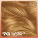Clairol Professional Texture and Tones 1 oz Luminous Blonde Hair Color - Fade Resistant Dye - Buy Online on GoSupps.com