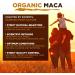 Maca Root Powder 1kg - Organic Superfood Supplement - Buy Online on GoSupps.com