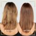 L'Oreal Paris Preference Hair Dye 5.3 Virginia - Long Lasting Luminous Permanent Hair Colour - Buy Online on GoSupps.com
