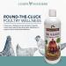 Organic Chicken Water Additive with Aloe Vera, Calendula Oil, Thyme Oil - 16 oz (2 pack) - Supports Egg Production & Immunity - Made in USA - Buy Online on GoSupps.com