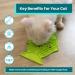 LickiMat Casper Fish-Shaped Cat Slow Feeder | Green | Promotes Mental Stimulation and Anxiety Reduction - Buy Online on GoSupps.com