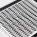 Scala 200pcs C Curl 0.07mm 20 Root Individual Cluster Eye Lashes 12mm - Black False Eyelashes for Professional Makeup - Buy Online on GoSupps.com