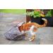 Petface Angry Mouse Cat Crinkle Bag - Grey Crinkle Bag for Endless Fun - Buy Online on GoSupps.com