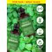 Nature's Truth Peppermint Essential Oil | Diffuser Shower or Bath | 2 Pack of 2 Fluid Ounces (59 mL) | Mentha Piperita | Plant Based Non-GMO & Gluten Free - Buy Online on GoSupps.com