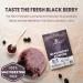 Jungle Powders Freeze Dried BlackBerry Powder 3.5oz - GMO-Free Purple Superfood Extract - Buy Online on GoSupps.com