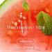 RAW SUGAR Watermelon Mint Refresh Hand Wash 12 Fl Oz (Pack of 4) Liquid Hand Soap for Kitchen or Bathroom Cleanses & Refreshes Hands Vegan Formulated without SLS/SLES & Parabens - Buy Online on GoSupps.com