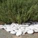 Kalapanta - Large size recycled plastic decorative pebbles for pots paint aquariums garden mini pack rock painting white (5-8cm) | Mini-pack - Buy Online on GoSupps.com