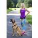 DINGO Canicross Belt 4-in-1 | Universal Adjustable Hands-Free Dog Walking Belt | Reflective Multifunctional | Running Sports Jogging Training | Black Waist Belt (12780-2) - Buy Online on GoSupps.com