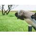 Mojo Outdoors Voodoo Dove Decoy - Motion Decoy for Hunting in Multicolor - Buy Online on GoSupps.com