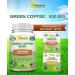 Green Coffee Bean Extract 180 Capsules - Max Strength GCA Antioxidant Cleanse for Weight Loss - 800mg/pill with Chlorogenic Acid - 1600mg Daily Supplement - Healthy Fat Burner - Buy Online on GoSupps.com