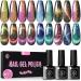 UR SUGAR Cat Magnetic Eye Gel Nail Polish Kit - 6 Reflective Glitter Colours for Sparkling Diamond Effects - Soak Off Gel Manicure Set - Buy Online on GoSupps.com