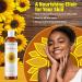 Plant Guru Sunflower Oil 8 fl oz Cold Pressed 100% Pure & Natural Carrier for Skin Face Body Hair & Cooking. Great for DIY Creams Lotions Soaps & Lip Balms. - Buy Online on GoSupps.com