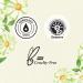 Herbal Essences Shine Collection Chamomile Shampoo and Conditioner Bundle - 29.2 Fl Oz | Color Safe | NEW - Buy Online on GoSupps.com