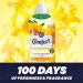 Comfort Sunshiny Days Fabric Conditioner 990ml Cedarwood - 100 Days of Freshness + Fragrance - Pack of 1 - Buy Online on GoSupps.com