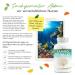 Sango Meereskorall 180 Capsules - Natural Calcium & Magnesium Supplement (2:1 Ratio) - High-Dosed & Laboratory Tested - Boost Your Health Internationally - Buy Online on GoSupps.com