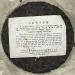 Pu-erh tea 1998 Hong Kong customization Thick Paper Dai Wenqing Yi Wu Zhengshan 357g Raw - Buy Online on GoSupps.com
