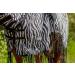 Marengos Zebra Fly Outdoor Ceiling | Insect Protection Horse Blanket with Saddle Cutout & Neck | Fine-Meshed | Black & White | 155 cm - Buy Online on GoSupps.com