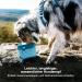 Kurgo Collapsible Dog Bowl - 1.4L Red with Snap Hook & Closure | Perfect for Travel & Outdoor Adventures - Buy Online on GoSupps.com