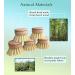 Eco-Friendly Dish Brush Replacement Heads - 5 Pieces Natural Sisal Hemp and Beech Wood Scrubbing Brushes - Buy Online on GoSupps.com