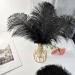 Pioio 20pcs Black Ostrich Feathers Plumes 12-14 inch - Ideal for DIY Halloween & Gatsby Decorations - Buy Online on GoSupps.com