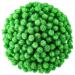 Hestya 500 Pieces 0.5 Inch Christmas Pompoms Glitter Pom Poms for Craft Making and Hobby Supplies (Light Green)