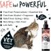 BUGALUGS Cat itchy skin relief Antiseptic spray 200ml for kitten cats & small animals - cat anti scratch cat spray is Antibacterial Antifungal & Antiviral use for cat acne - Buy Online on GoSupps.com