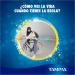 Tampax Compak Pearl Regular Tampons with Applicator | 36 Pieces - Best Comfort Protection & Discretion - Buy Online on GoSupps.com
