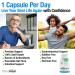 PlantVital Probiotic Supplement for Men - 50 Billion CFUs 15 Strains Probiotics for Men - Supports Prostate Digestive and Gut Health - 1 Month Supply 30 Capsules 30 count (Pack of 1) - Buy Online on GoSupps.com