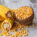 Yupik Popcorn Kernels Unsalted 1 kg Gluten-Free Vegan Kosher GMO-Free Popping Corn Whole Golden Kernels Salt-Free Oil-Free Source of Fiber Healthy Snack - Buy Online on GoSupps.com