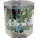 1 Gallon Hexagon Tetra Bubbling LED Aquarium Kit with Color-Changing Light Disc - Buy Online on GoSupps.com
