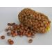 Hazelnuts from Germany - 1st election - whole nuts for humans and animals!Or as a rodent feed animal feed food for squirrels stripe horns rodents and parrots - 1 kg