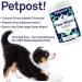 Petpost Paw Wipes for Dogs - Nourishing Cleaner with Coconut Oil, Jojoba Oil, and Aloe - 70 Cotton Pads (Cherry Blossom) - Buy Online on GoSupps.com