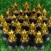 24 Pack Mini Star Trophy Awards - Plastic Gold Trophies for Halloween Party Favors & School Rewards - Buy Online on GoSupps.com