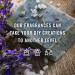 P&J Fragrance Oil - Night Air 10ml | Premium Candle Scents Soap Making & Diffuser Oil - Fresh Aromas for Your Home - Buy Online on GoSupps.com