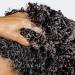 Geologie Strengthening Conditioner | Rice Protein & Avocado | Custom Haircare for All Hair Types | 8 fl oz - Buy Online on GoSupps.com