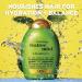 OGX Tea Tree Mint Shampoo - Nourishing Scalp Treatment with Peppermint Oil - 13 fl oz - Buy Online on GoSupps.com
