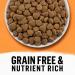 Purina Beyond Grain Free Natural Dry Cat Food - White Meat Chicken & Egg Recipe, 5 lb Bag - Buy Online on GoSupps.com