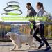 Hands Free Dog Leash with Zipper Pouch Dog Walking Belt with Leash Dual Handle Elastic Band Reflective Adjustable Waist Leash Bag Pack for Medium Dogs for Running Walking Hiking Biking - Buy Online on GoSupps.com