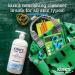 Kirk's 3-in-1 Castile Liquid Soap + Travel Bar Soap Set - Head-to-Toe Clean for Men, Women & Kids - Original Fresh Scent - 32 Fl Oz (2 Pack) - Buy Online on GoSupps.com