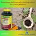 Turmeric Curcumin 1500mg with Black Pepper Capsules 90ct (Pack of 1) Boxed by Fusion Shop Store - Buy Online on GoSupps.com