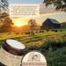 Mystic Angel Castor Oil & Frankincense Tallow Balm - 100% Grass-fed Beef Tallow for Skin Infused with Organic Frankincense Healing Moisturizer for Sensitive Skin Made in the USA (2 Fl. Oz) 2 Ounce (Pack of 1) - Buy Online on GoSupps.com