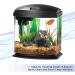 Aqueon Aquarium Algae Cleaning Magnets | Effective Aquatic Care - Buy Online on GoSupps.com